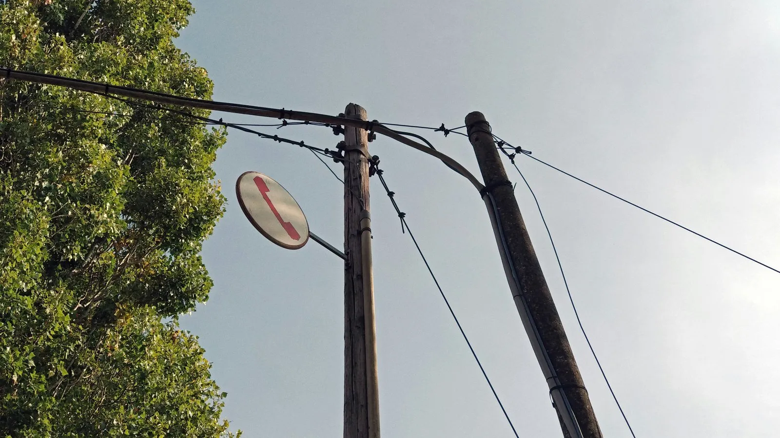 Case study reviews and analysis